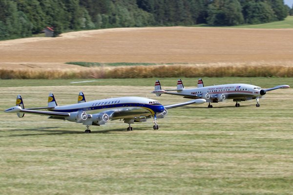 Les ceintures tendances pour femme : styles à adopter absolument